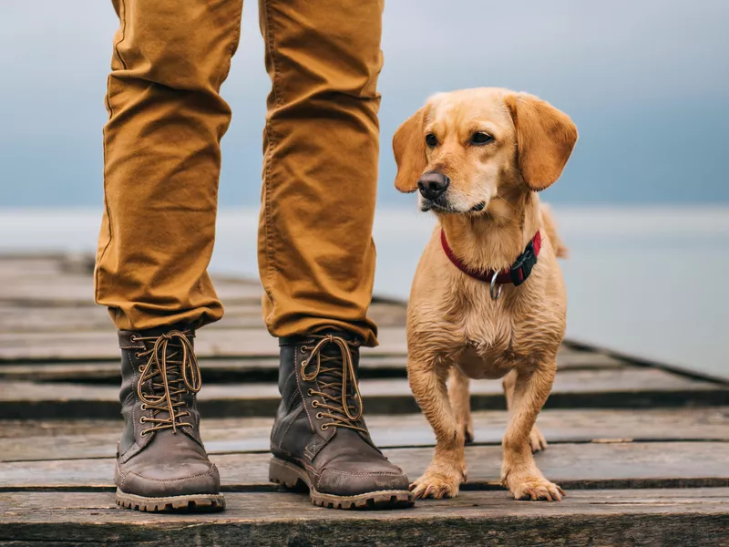 Man and his dog standing on dock