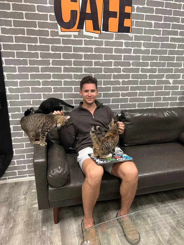 Fat Cat Café