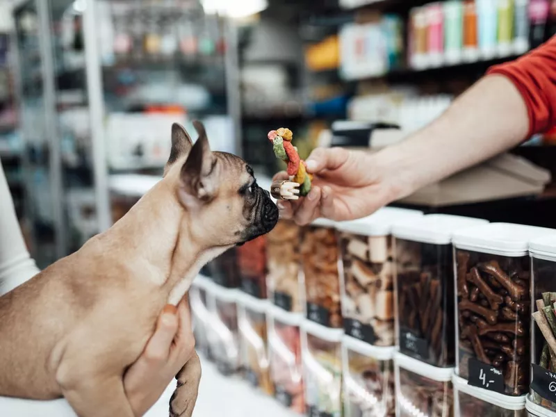 Woman in pet shop