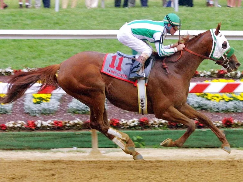 Point Given, Gary Stevens