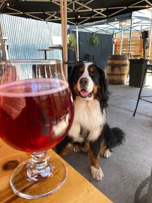 Barebottle Brewing Company