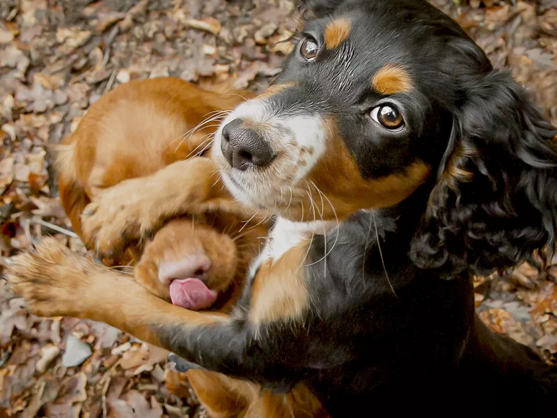 Mine, not yours!