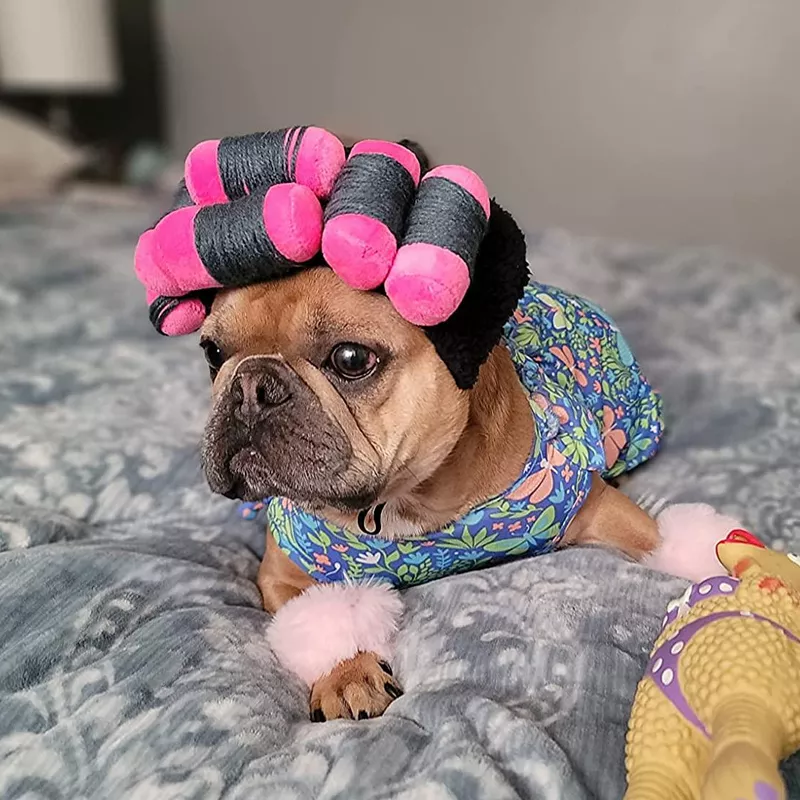 Funny Dog Costume Wig