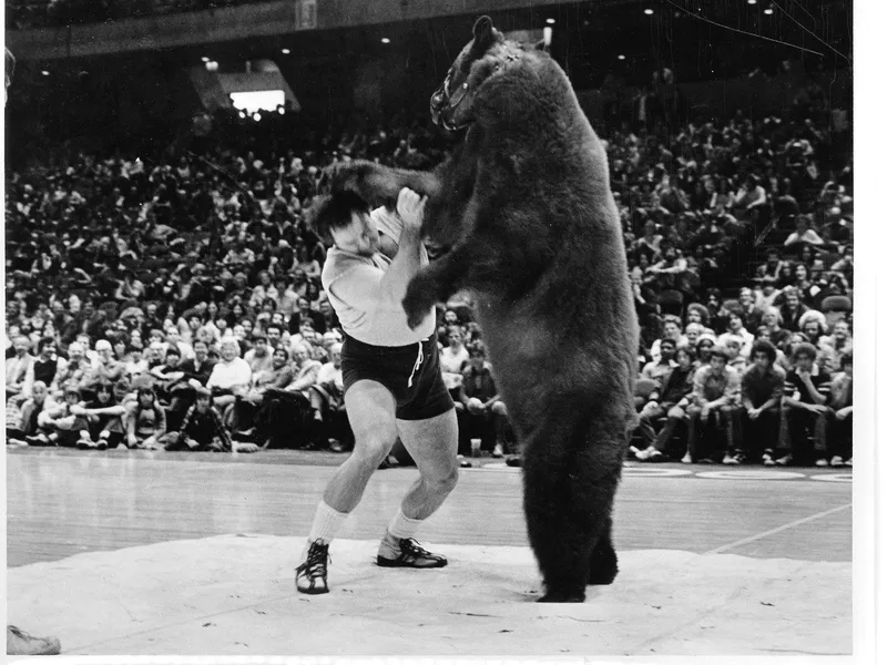 Bear wrestling at the Spectrum Philadelphia, PA in 1975