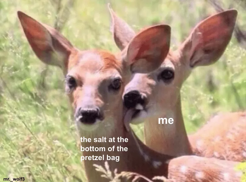 Deer licking another deer
