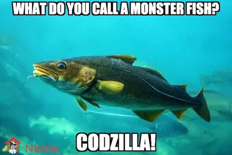 Codzilla meme