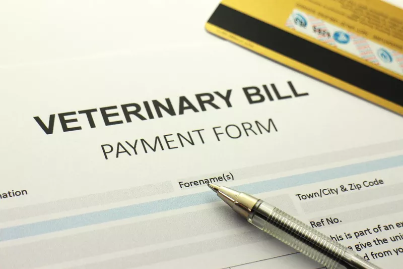 Vet bill form