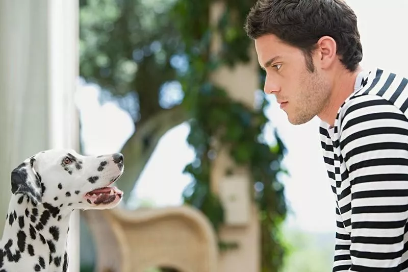 Dog body language tip: Direct eye contact is a no.