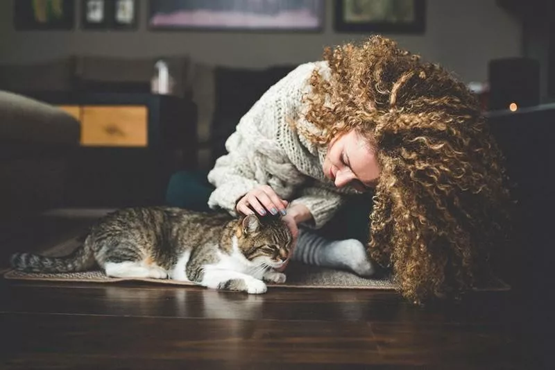 How to pet a cat