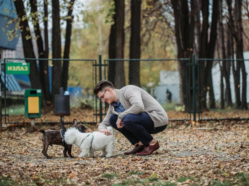 First meeting at the dog park