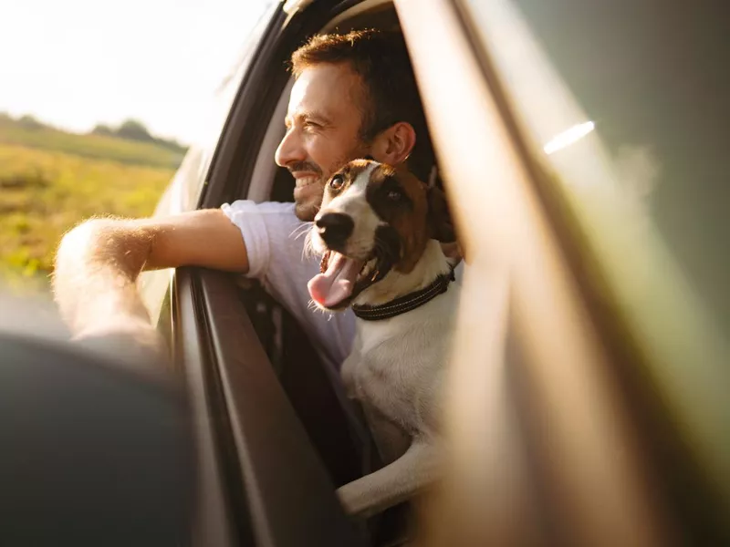 young man and his dog riding in a car on a bright summer day