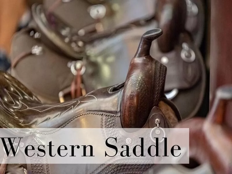 Western Saddle