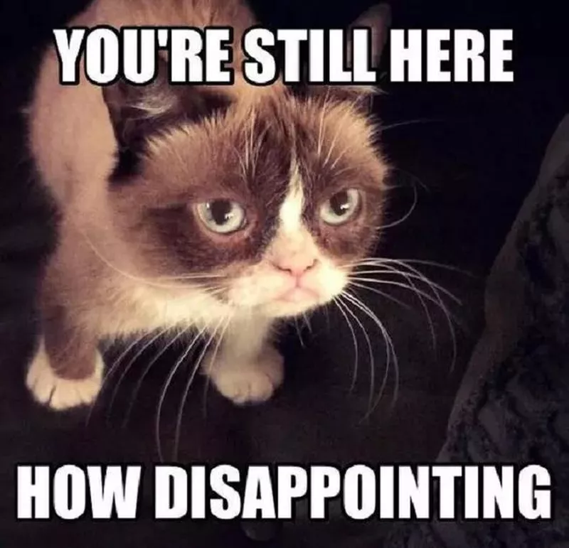 You're still here