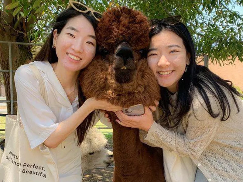 Young women posing with an alpaca at Canzelle Alpacas