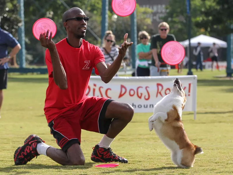 Disc Dog