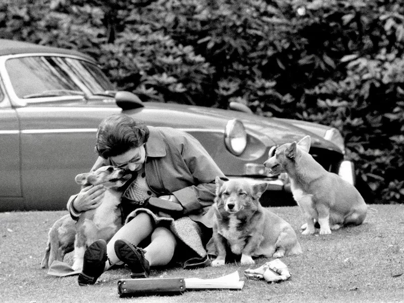 Queen Elizabeth and Royal Corgis
