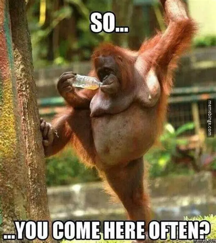 Big Monkey Leaning on Tree Meme