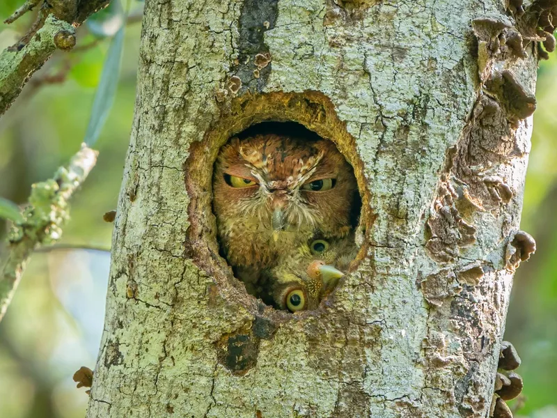 Tight Fit!