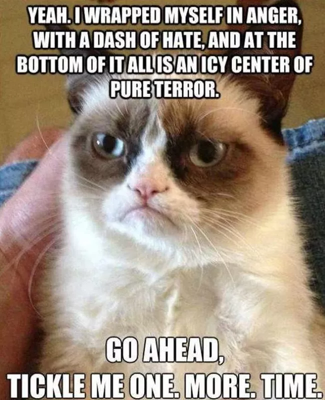 Little ball of terror