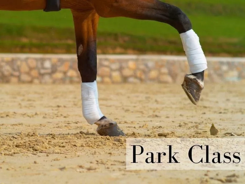 Park Class