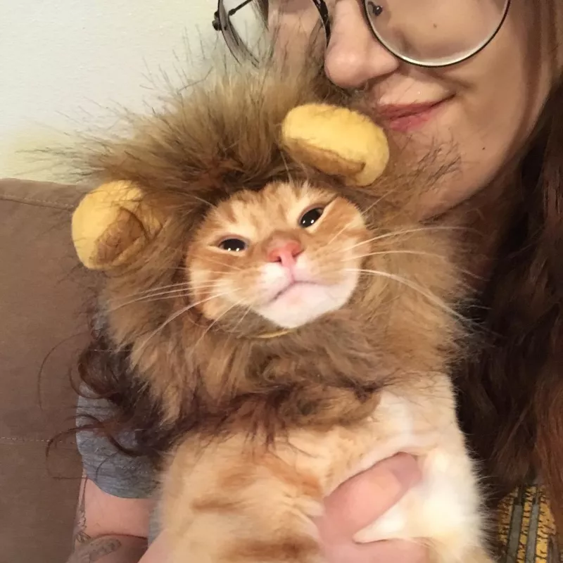 Lion Mane Costume for Cats