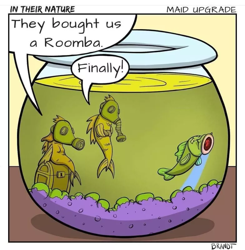 Sucker fish meme