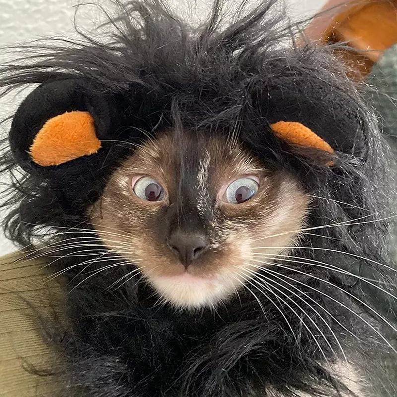 Onmygogo Lion Mane Wig for Cats